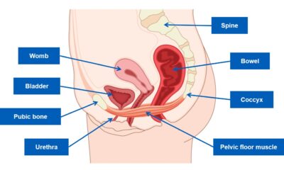 Bladder and Bowel Treatment in Jaipur